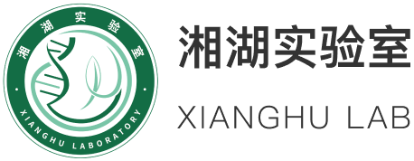 湘湖实验室